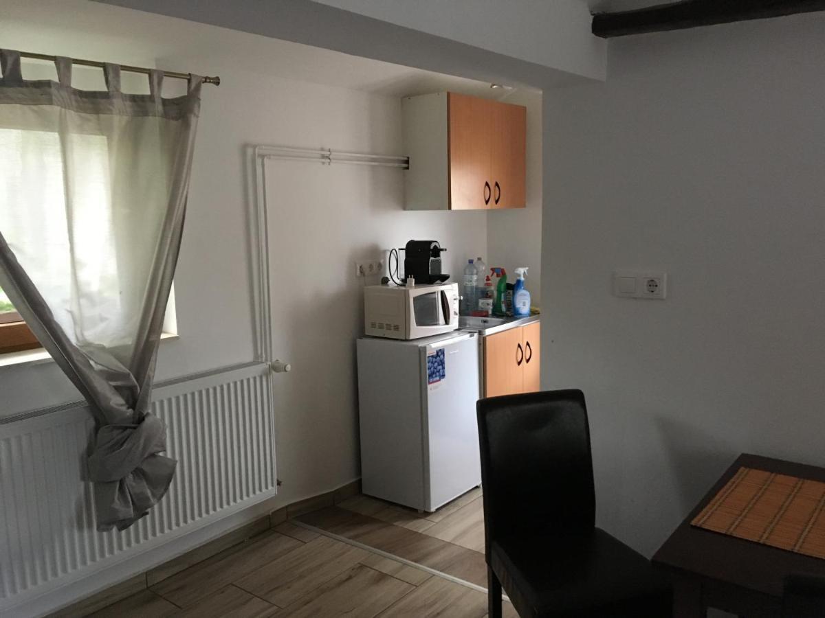 Balatonkenesei Nadfedeles Lovas Vendeghazヴィラ エクステリア 写真